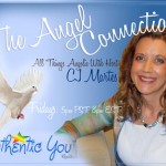 TheAngelConnectionBanner_CJ